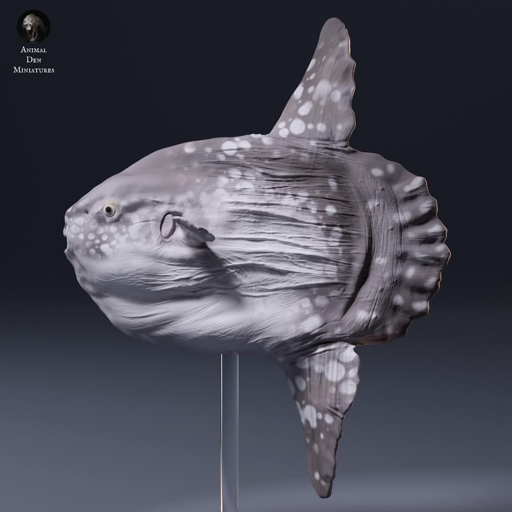 Φωτογραφία προϊόντος φιγούρας ζώου Animal Den Miniatures 6: φιγούρα θαλάσσιου ζώου: φεγγαρόψαρο (26_09_06)