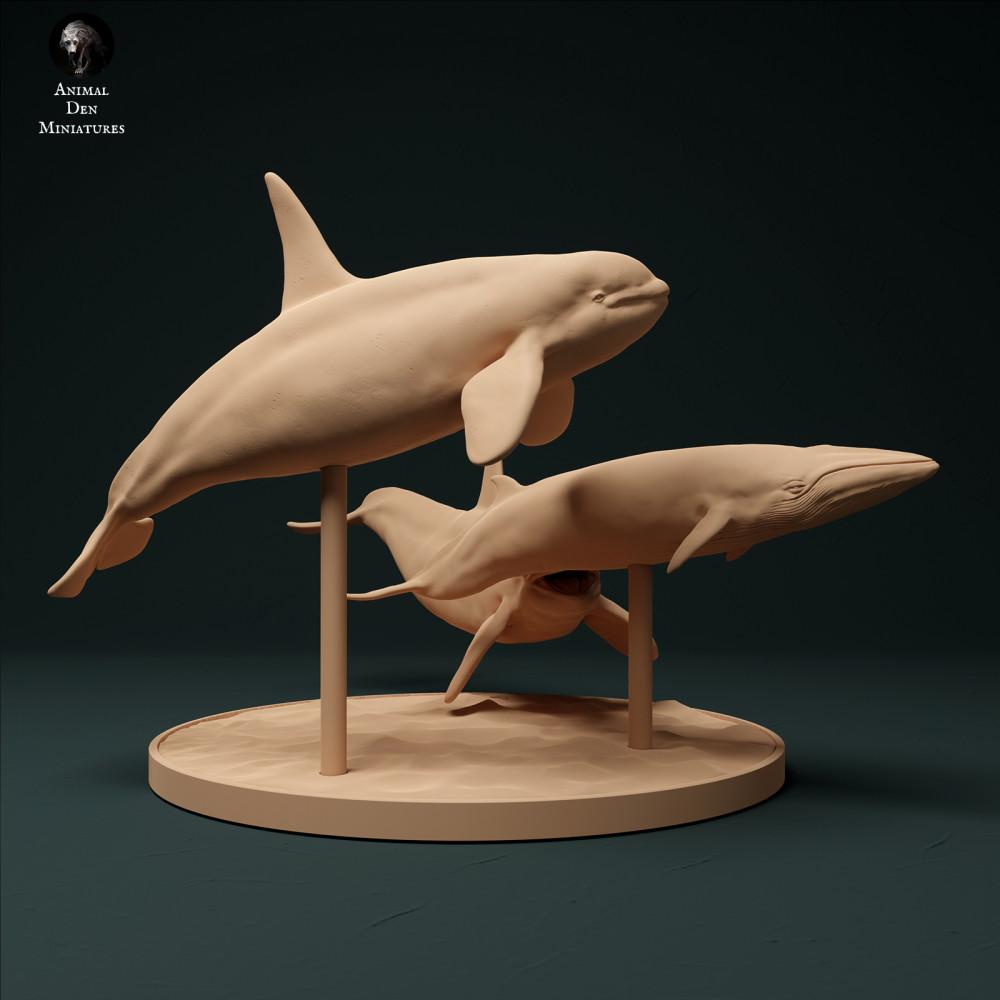 Produktfoto Tierfigur Animal Den Miniatures 1: Meerestier Tierfigur: Nordatlantik-Typ-2-Schwertwale - Jagd auf Zwergwal (23_12_10)