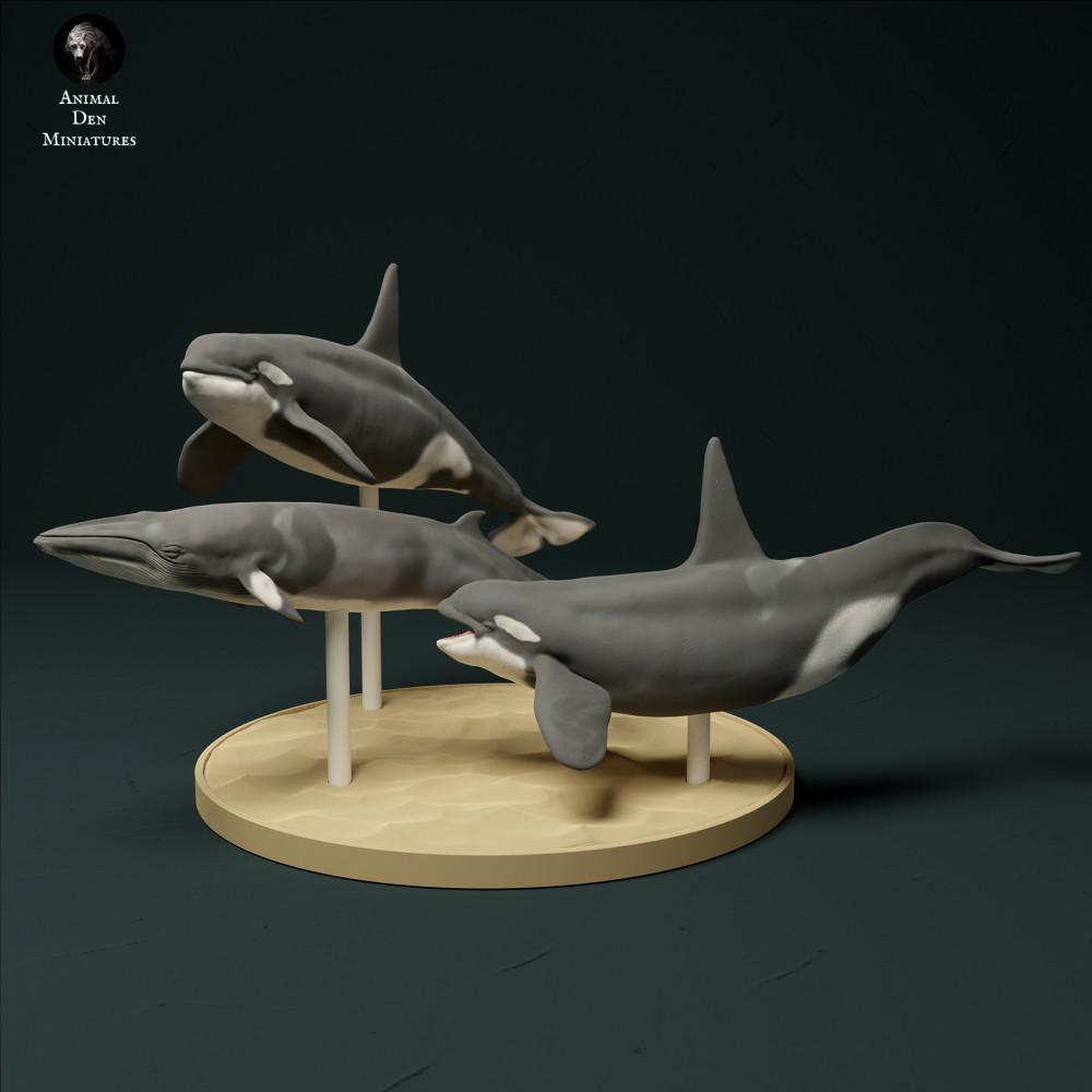 Produktfoto Tierfigur Animal Den Miniatures 2: Meerestier Tierfigur: Nordatlantik-Typ-2-Schwertwale - Jagd auf Zwergwal (23_12_10)