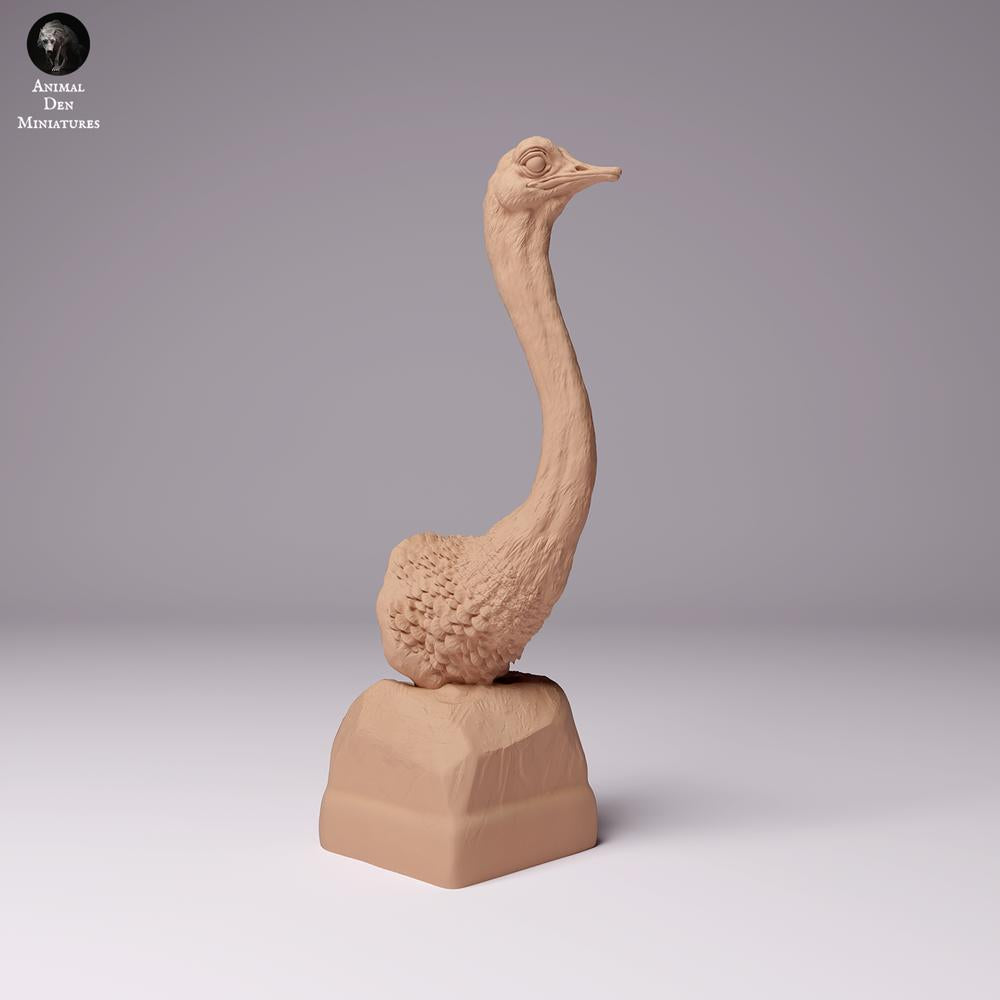 Produktfoto Tierfigur Animal Den Miniatures 1: Wildtier Tierfigur: Nordafrikanischer Strauß - Büste (24_07_10)