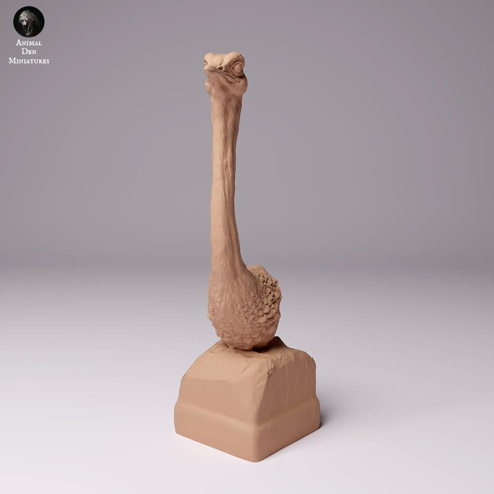 Produktfoto Tierfigur Animal Den Miniatures 2: Wildtier Tierfigur: Nordafrikanischer Strauß - Büste (24_07_10)