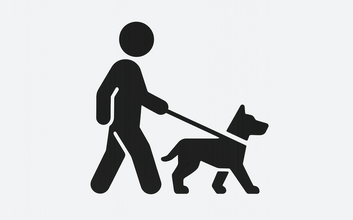 Procházející a městský život