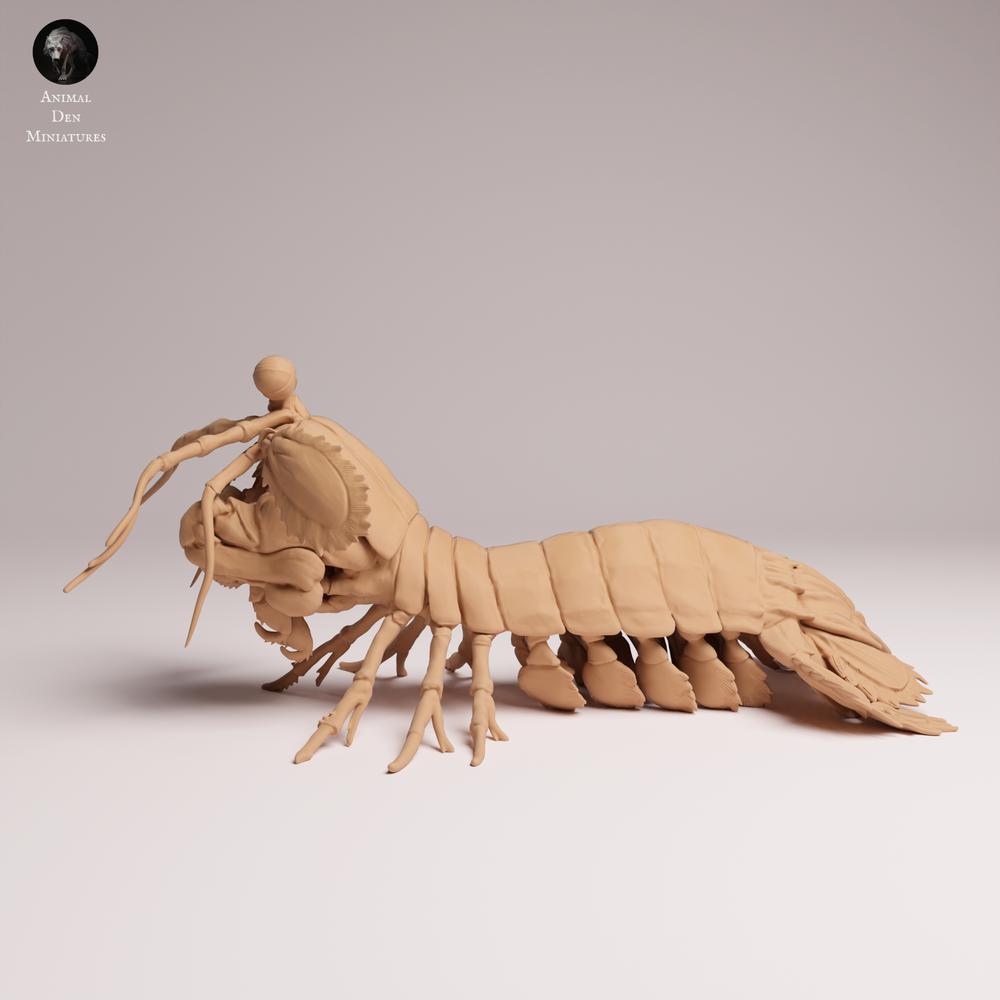 Produktfoto 1: Meerestier Tierfigur: Pfauenaugen-Fangschreckenkrebs (25_10_02)
