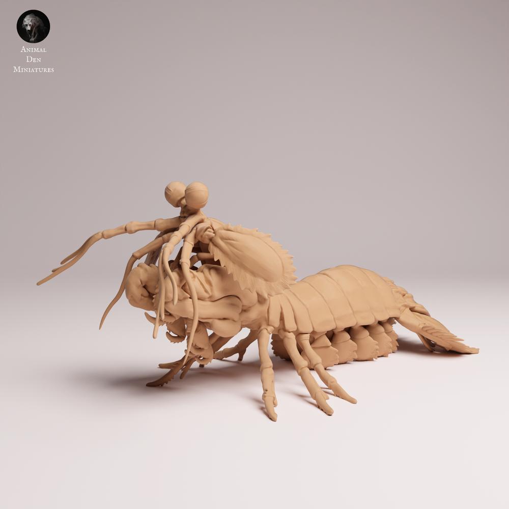 Produktfoto 2: Meerestier Tierfigur: Pfauenaugen-Fangschreckenkrebs (25_10_02)