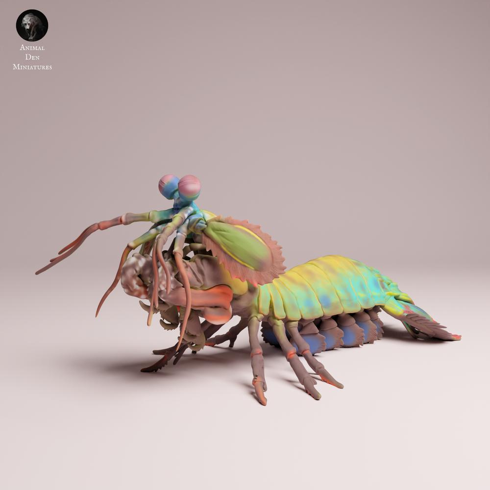 Produktfoto 3: Meerestier Tierfigur: Pfauenaugen-Fangschreckenkrebs (25_10_02)