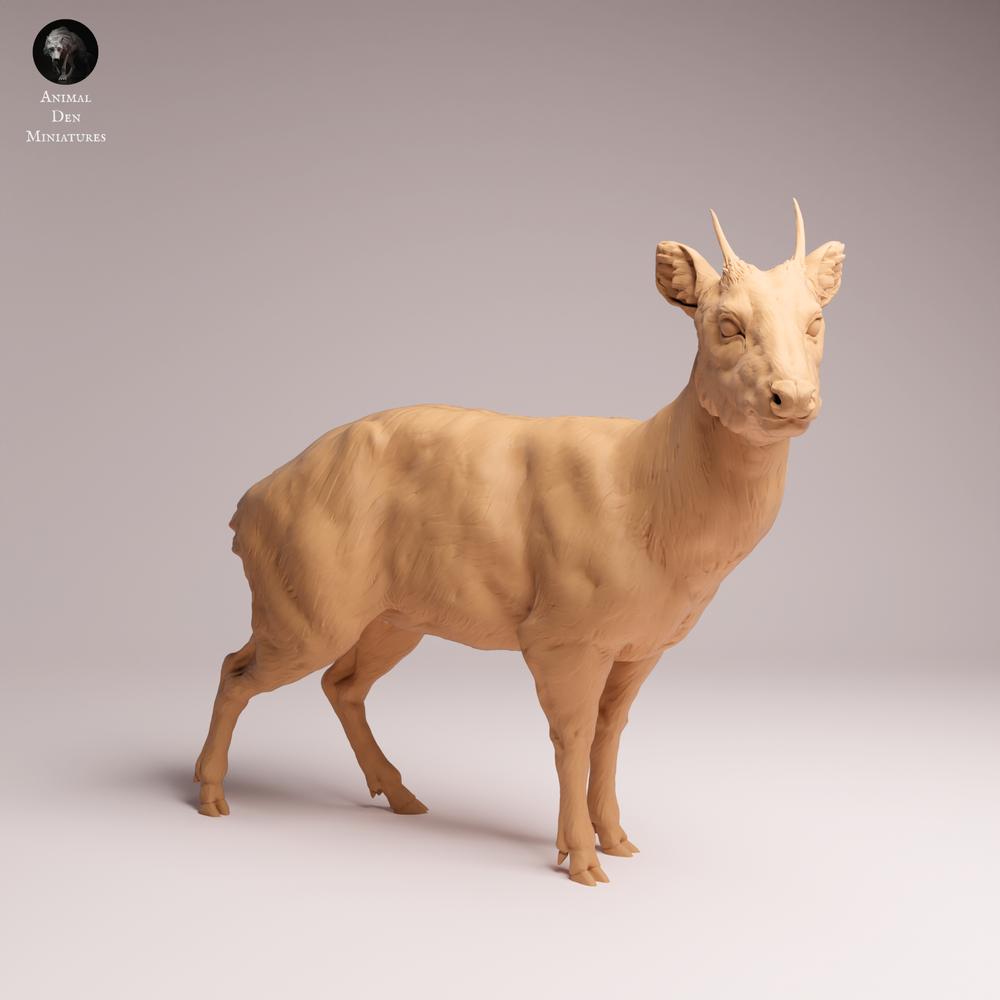 Produktfoto Tabletop 28mm Lord of the Print (LotP) 2: Wildtier Tierfigur: Pudu - stehend (26_01_09)