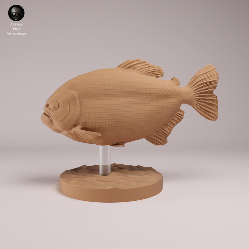 Produktfoto Tierfigur Animal Den Miniatures 0: Fisch Tierfigur: Roter Piranha mit rotem Bauch (26_08_01)