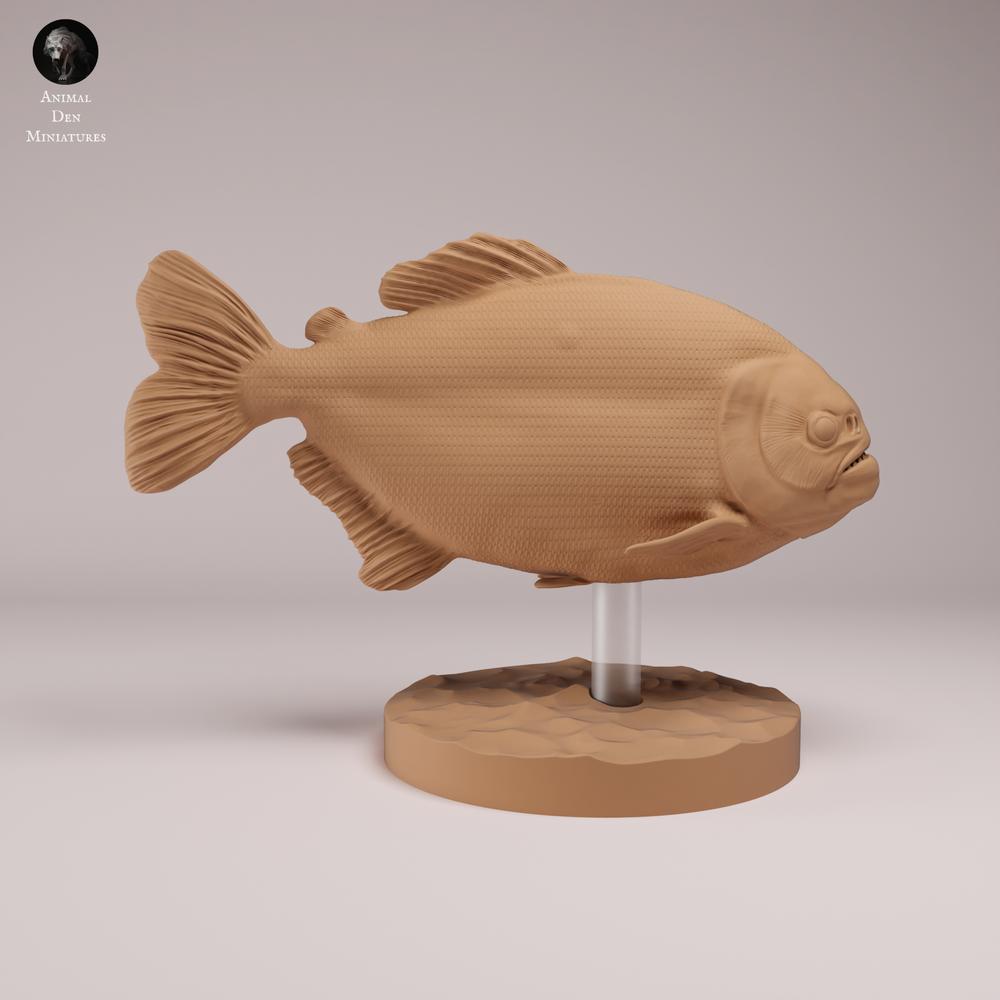 Produktfoto Tierfigur Animal Den Miniatures 1: Fisch Tierfigur: Roter Piranha mit rotem Bauch (26_08_01)