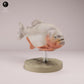 Produktfoto Tierfigur Animal Den Miniatures 3: Fisch Tierfigur: Roter Piranha mit rotem Bauch (26_08_01)