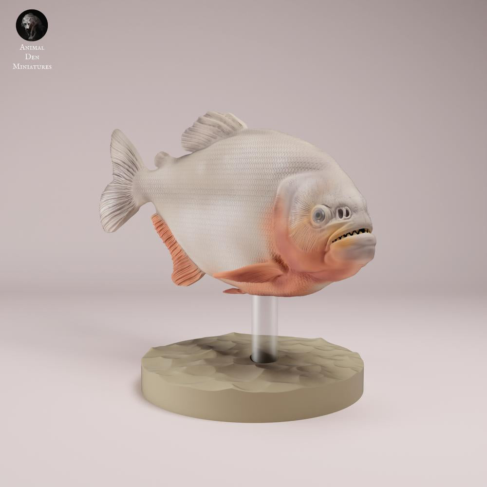 Produktfoto Tierfigur Animal Den Miniatures 3: Fisch Tierfigur: Roter Piranha mit rotem Bauch (26_08_01)