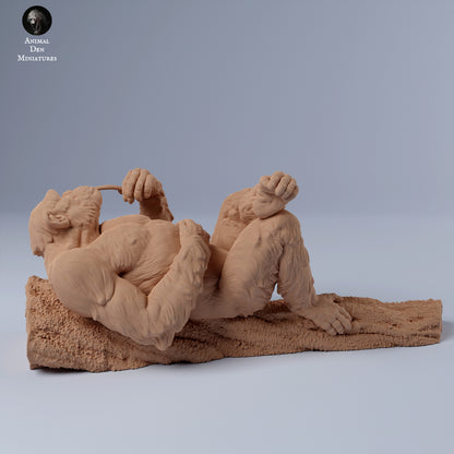Φωτογραφία προϊόντος Ζώο Φιγούρα Diorama, Μοντελισμός: 0: Αρσενικός χιμπατζής ξαπλωμένος σε κλαδί: Ζώα από την Αφρική