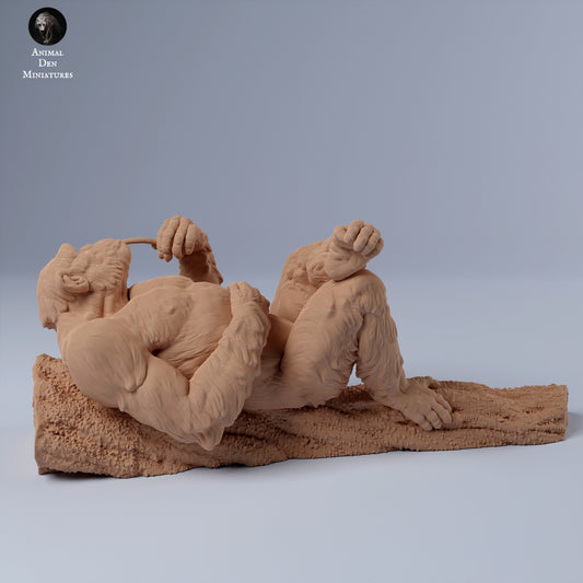 Produktfoto Tier Figur Diorama, Modellbau: 0: Schimpansen Männchen auf Ast liegend: Tiere aus Afrika