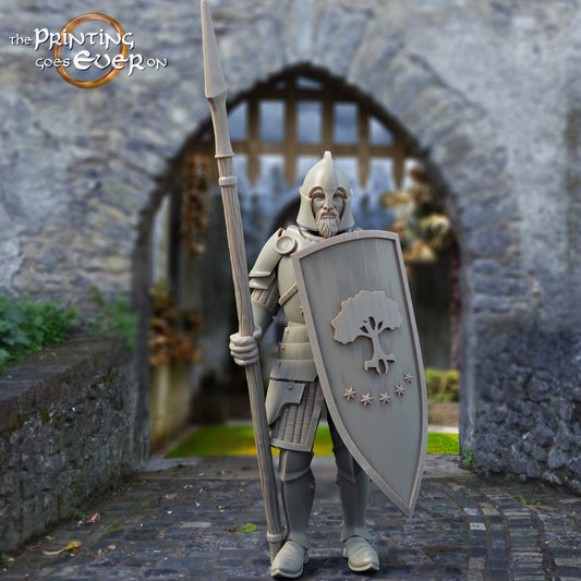 Produktfoto mittelalterliche historische Figur 75mm Scale The Printing Goes Ever On (TPGEO)  0: Mittelalterliche Ritter Figuren Speerkämpfer C Krieger von Gonthan