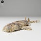 Produktfoto Tierfigur Animal Den Miniatures 2: Meerestier Tierfigur: Gefleckter Teppichhai (24_06_04)