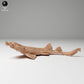 Produktfoto Tierfigur Animal Den Miniatures 0: Meerestier Tierfigur: Gefleckter Teppichhai - auf der Jagd (24_06_05)