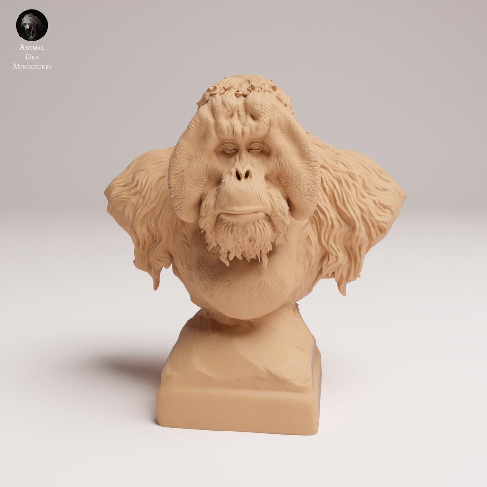 Foto de produto 1: Figura de animal selvagem: orangotango-de-Sumatra - busto (25_03_04)