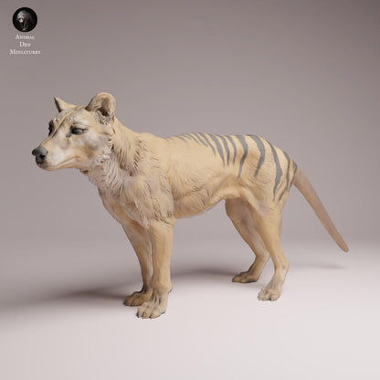 Produktfoto Tabletop 28mm Lord of the Print (LotP) 3: Wildtier Tierfigur: Beutelwolf (Tasmanischer Tiger) - stehend (26_04_10)