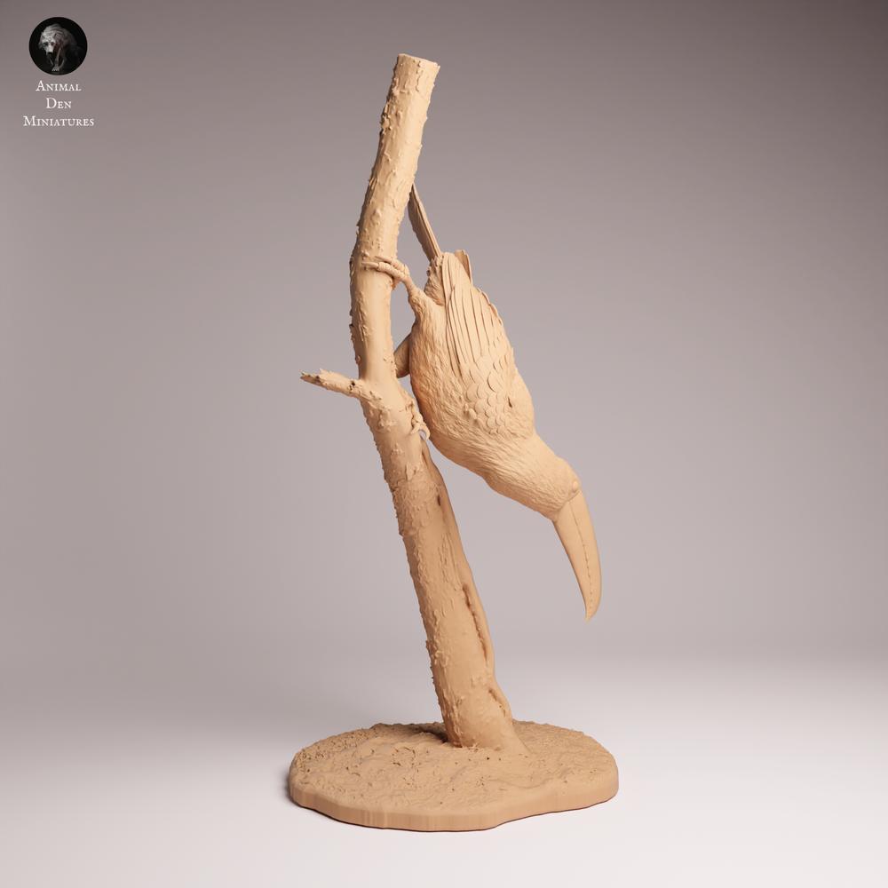 Zdjęcie produktu Tabletop 28mm Lord of the Print (LotP) 1: Figura zwierzęcia: Toko-Tukan - siedzący na gałęzi