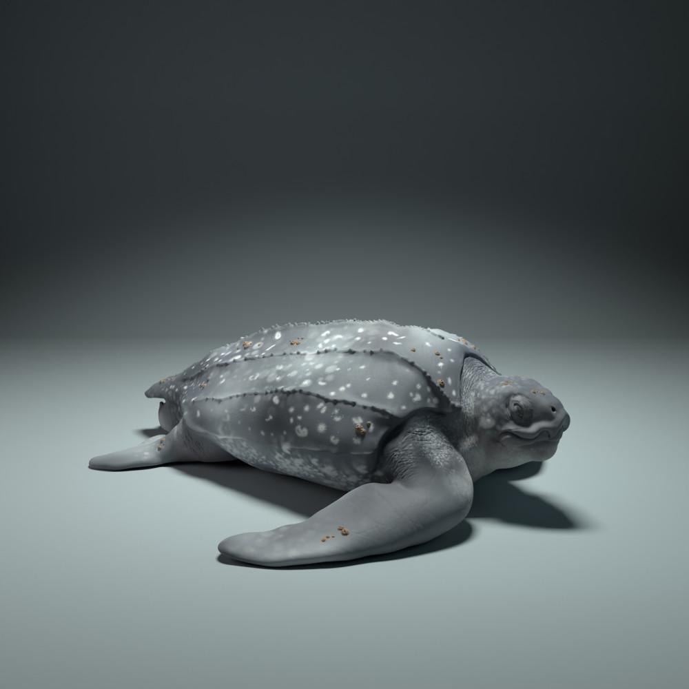 Produktfoto Tierfigur Animal Den Miniatures 0: Meerestier Tierfigur: Lederschildkröte (22_09_01)