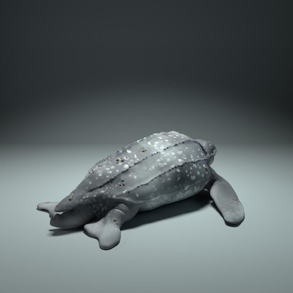Produktfoto Tierfigur Animal Den Miniatures 1: Meerestier Tierfigur: Lederschildkröte (22_09_01)