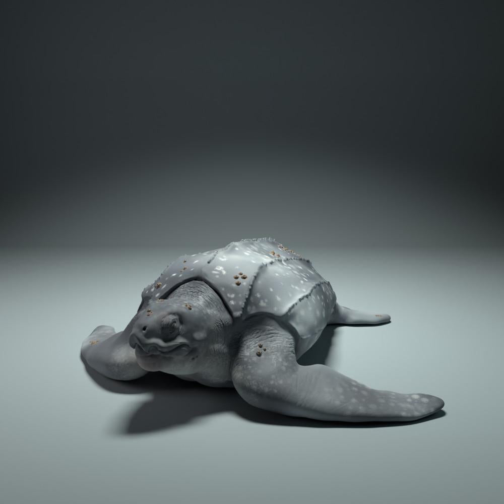 Produktfoto Tierfigur Animal Den Miniatures 3: Meerestier Tierfigur: Lederschildkröte (22_09_01)