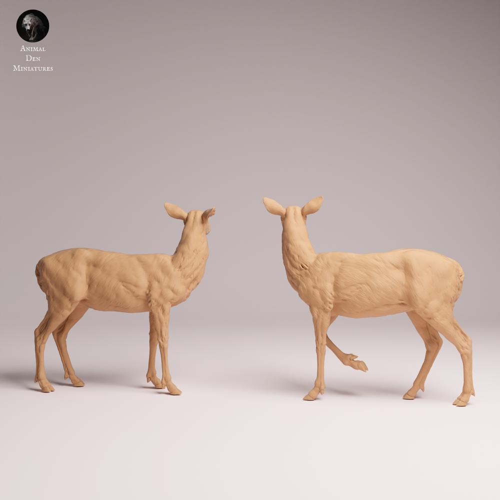 Produktfoto Tabletop 28mm Lord of the Print (LotP) 0: Wildtier Tierfigur: Weisswedelhirsch - Weibchen (26_01_15)